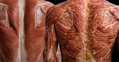 Kako vaši mišići izgledaju kada redovno idete na masažu? Kako vaši mišići izgledaju kada redovno idete na masažu?