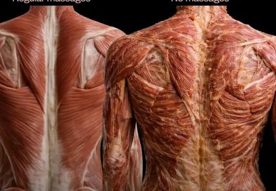 Kako vaši mišići izgledaju kada redovno idete na masažu? Kako vaši mišići izgledaju kada redovno idete na masažu?